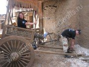 IMG_1753